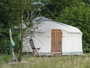 Rural Glampsite with Yurts in Weston Longville, Norfolk, England